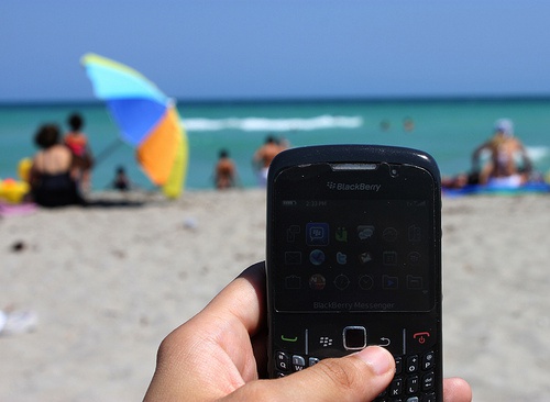 blackberry on the beach